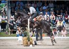 Pferd International 087